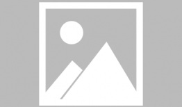 莱卡漫画,描绘奇幻世界的艺术之旅